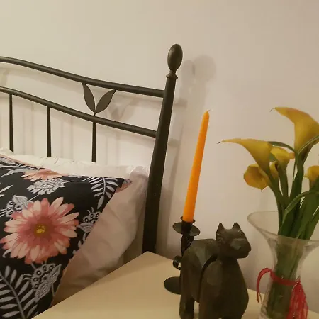 Axis Center * 스플리트